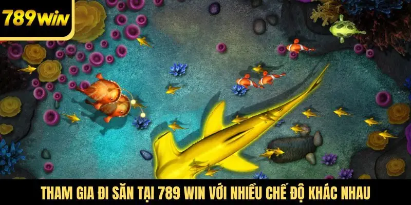 Tham gia đi săn tại 789 win với nhiều chế độ khác nhau